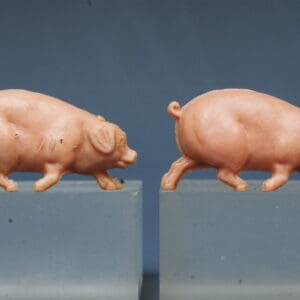 SOLD Hilco Farm Pigs - Saddleback and Running Variants