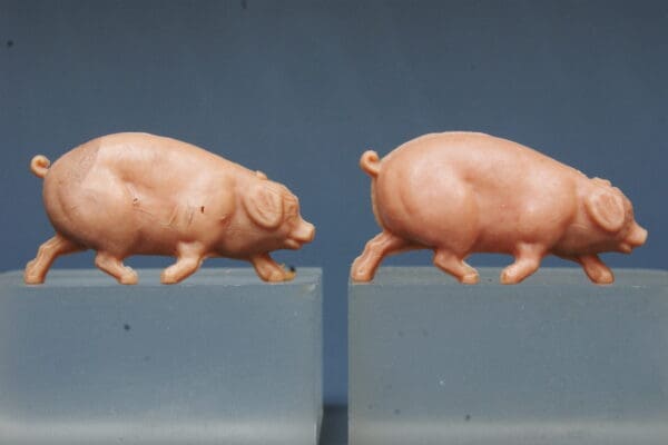 SOLD Hilco Farm Pigs - Saddleback and Running Variants