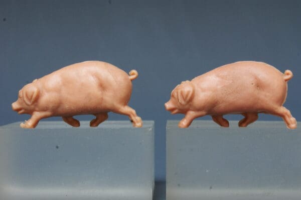 SOLD Hilco Farm Pigs - Saddleback and Running Variants - Image 2