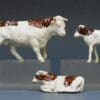 Hilco Farm Bull (Herald Copy) & Calves - BROWN Markings