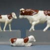 Hilco Farm Bull (Herald Copy) & Calves - BROWN Markings - Image 2