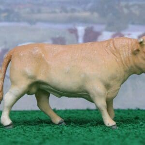 SOLD Herald Jersey Breed Bull - Superb!