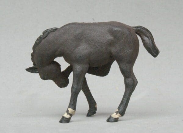 SALE! Herald Farm Black Scratching Colt - Image 3