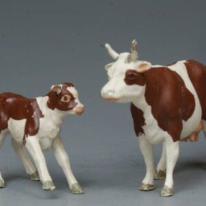 SOLD Herald Ayrshire Cow & Bull Calf Frisking - Superb!