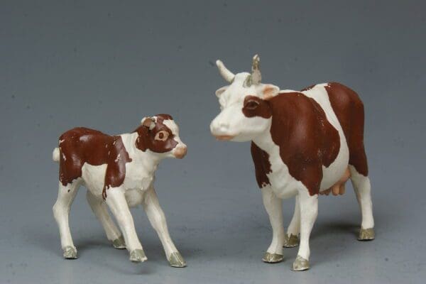 SOLD Herald Ayrshire Cow & Bull Calf Frisking - Superb!