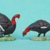 BACK in STOCK! Herald Farm Turkey Cock & Hen