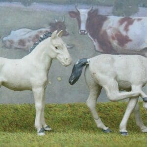 SOLD Herald Farm Scratching & Standing Colts - Matching Pair!