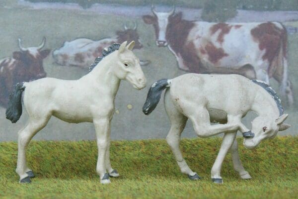SOLD Herald Farm Scratching & Standing Colts - Matching Pair!