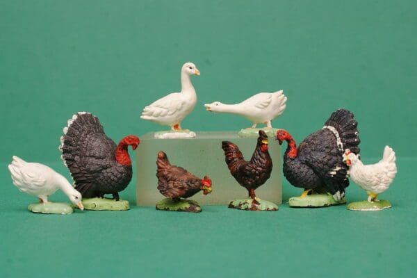 SOLD Herald Farm Poultry, Ducks, Geese, Hens, etc.