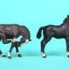 Herald Farm Colts Scratching and Standing - BLACK Plastic