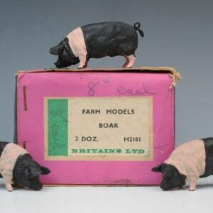 SOLD Herald Saddleback Boar - RARE Trade Box!