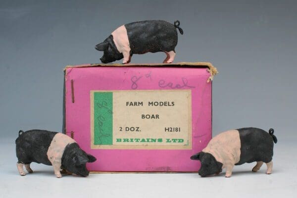 SOLD Herald Saddleback Boar - RARE Trade Box!