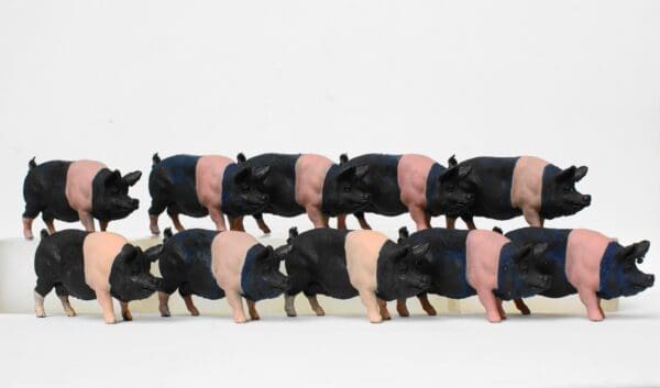 NEW! Herald Saddleback Sow - New-Old Stock! - Image 4
