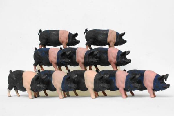 NEW! Herald Saddleback Sow - New-Old Stock! - Image 3