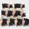 NEW! Herald Saddleback Sow - New-Old Stock!