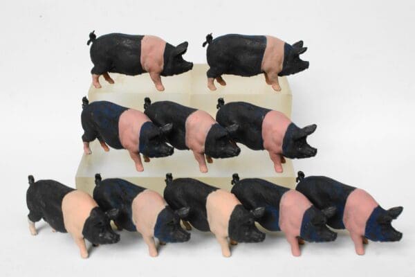 NEW! Herald Saddleback Sow - New-Old Stock!