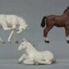 SOLD Herald Farm Scratching Colt and 2 Others