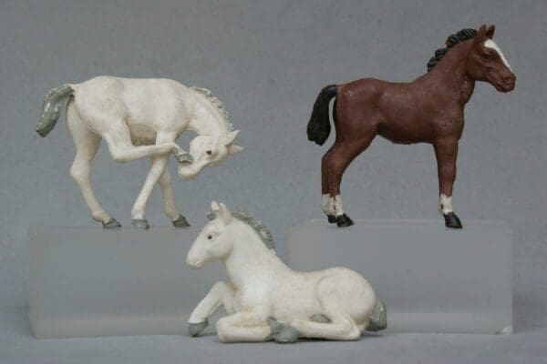 SOLD Herald Farm Scratching Colt and 2 Others