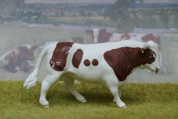 SOLD Herald White and Brown Bull