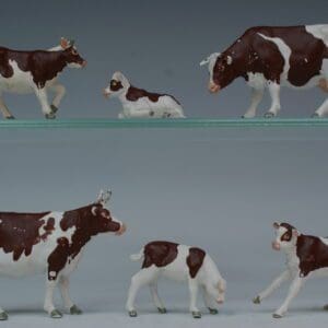 SOLD Herald Ayrshire Cows & Calves - Full Set