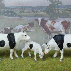 SOLD Herald Black-and-White Cows & Calf