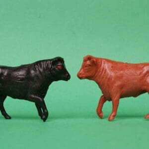 SOLD Speedwell Farmyard Bulls - Black & Brown