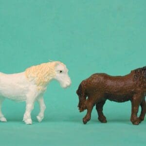 B&S Taylor Farm Shetland Ponies - White & Dark Brown