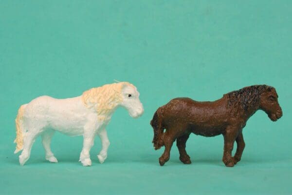 B&S Taylor Farm Shetland Ponies - White & Dark Brown