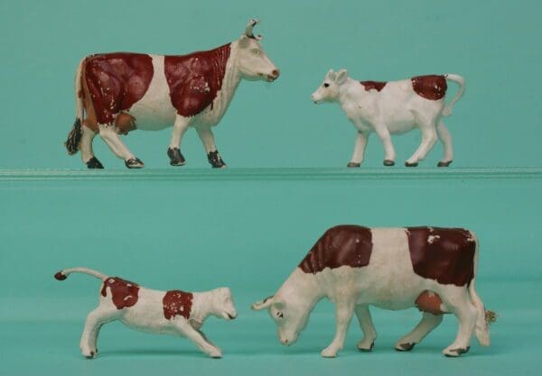Timpo Cows & Calves - Brown Ayrshire Markings