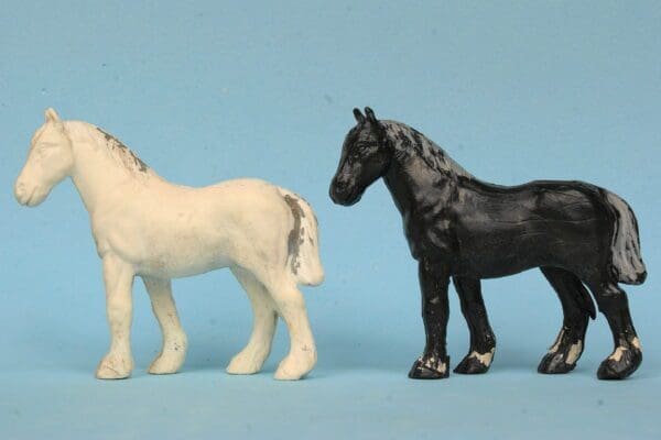 SALE! Speedwell Farm Shire Horses - Black & White