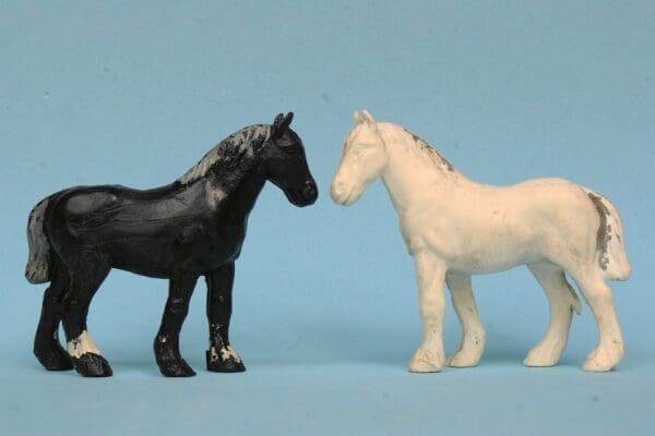 SALE! Speedwell Farm Shire Horses - Black & White - Image 3