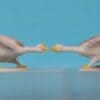 Hilco Farmyard Models Angry Ganders - Matching Pair - Image 4