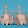 Hilco Farmyard Models Angry Ganders - Matching Pair - Image 3