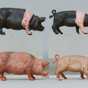 SOLD Crescent Farm Models - Scarce Saddleback Pigs