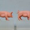 NEW! Crescent Farm Models - Pair of PINK Pigs