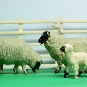 Britains Black-faced Sheep (from Lead Moulds)
