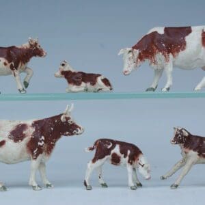 SOLD Herald Ayrshire Cows & Calves - Full Set!