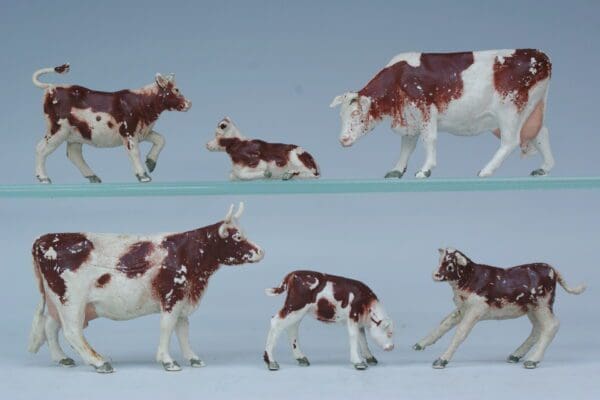 SOLD Herald Ayrshire Cows & Calves - Full Set!