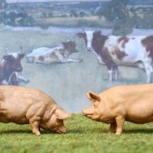 SOLD Herald BUFF Pigs - SMOOTH Plastic Boar!