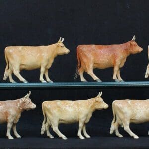 SOLD Herald Standing Jersey Cows - Milking Herd!