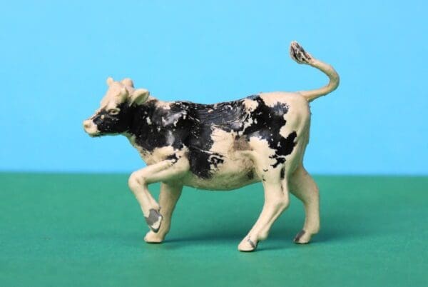 SOLD Herald Black Stencil-sprayed Heifer Calf Walking