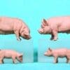 Britains Farm ©1971 Large White Pigs & Piglets - PINK Plastic