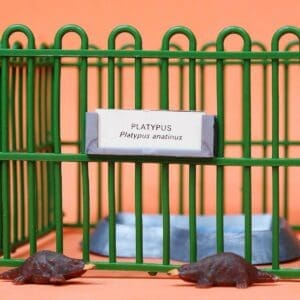 SOLD Britains Zoo Platypus Enclosure
