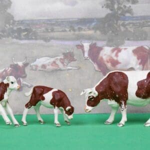 Herald Ayrshire Cow & Calves - SOLID Markings!