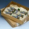 SOLD Farmer Trade Box Old Stock