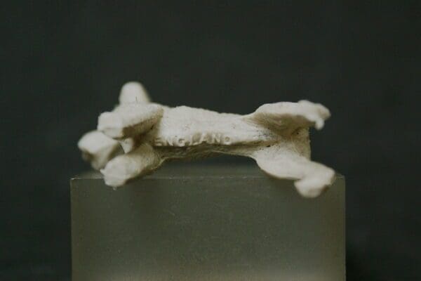 Johillco Farm-Yard Series Fox Terrier 'ENGLAND' Mark - Image 3