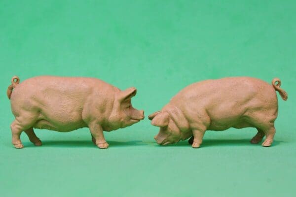 NEW! Herald Pigs, Sow & Boar - BUFF Plastic!