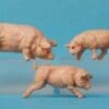 SALE! Cherilea 60mm Farm Large White Pig & Piglets