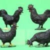 SALE! Cherilea 60mm Farm Poultry - BLACK Plastic!