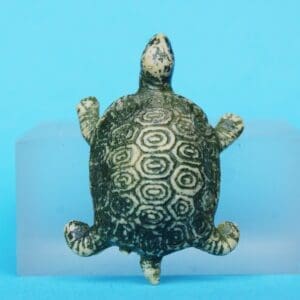 SOLD Unusual Turtle - Marked "Hong Kong"